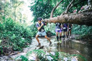 BIB: 
                            <button type="button" onclick="openModal(25435653)" class="btn btn-primary btn-sm float-right btn-popup" data-toggle="modal" data-target=".modal-high-quality">
                        <i class="fas fa-shopping-cart"></i> Add to Cart
                    </button>
                                            <button type="button" onclick="isThisMe(25435653, true)" class="btn btn-success btn-sm float-right btn-popup btn-isme hidden" data-toggle="tooltip" data-placement="bottom" title="นี่คือรูปของคุณใช่ไหม คลิกที่นี่เพื่อเอาเข้าอัลบั้ม">
                        <i class="fas fa-plus"></i> Add to album
                    </button>
                    <button type="button" onclick="isThisMe(25435653, false)" class="btn btn-warning btn-sm float-right btn-popup btn-isnotme hidden">
                        <i class="fas fa-ban"></i> Remove from album
                    </button>